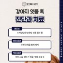 왜관동물병원 이미지