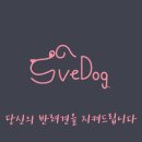 세이브독 이미지