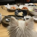 논현양꼬치 이미지