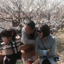 나드리다방 이미지