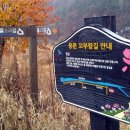 식후경민박 이미지