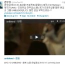 유니블렌드 카카오 검색결과