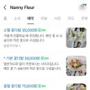 내니플레르 이미지
