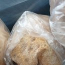 산동공갈빵
