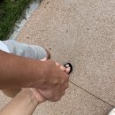 도미노피자 화명점 이미지