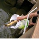 금곡송어장 이미지