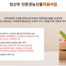 우리동네농산물 - 부천시 원미구 역곡로 2 | 2026 임산부 친환경 농산물 지원사업 신청 후기! (신청 방법, 선정 기준, 주의사항 정리)