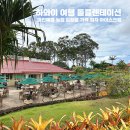 돌속농장 이미지