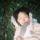 화려한 날의 오후 이미지