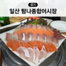 일산 라페스타 횟집 방어 맛집 탐나종합어시장 후기