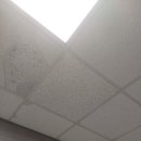 수도녹지사업소 이미지