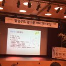 매일유업 앱솔루트맘스쿨,일산 산모교실 후기!