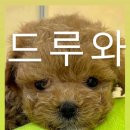 (주)이마트평촌점 이미지