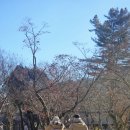 할매참옻집 이미지