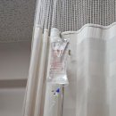 제일의료기 보조기 | 무릎 병자의 전방십자인대 수술 후기