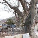 배순정려비 이미지