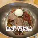 궁노래광장 | 오장동함흥냉면ㅣ미쉐린가이드 빕구르망에 선정된 을지로 함흥냉면 맛집 내돈내산 후기