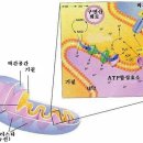 현대웰빙 휘트니스 이미지