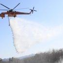 국립자연휴양림관리소(동부지역팀 청태산자연휴양림) 이미지