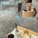 락오브피스