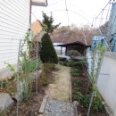 장미정원 이미지