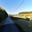 충남부동산공인중개사 이미지