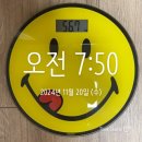 스위치온 다이어트 17-18일차 (24.11.20~21)