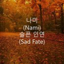 나미 이미지