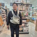 29주차 청주 베이비하우스 아기용품 구입 후기