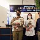 퍼피베이비 이미지