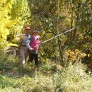 꼬꼬농장 이미지