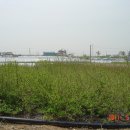 목화농원 이미지