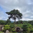 햇살가득농장펜션 이미지