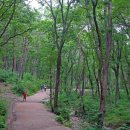 부산치유의숲 방문자센터 이미지