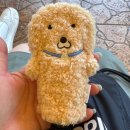 누렁이도 찰스로 | 난 빌어 네 많은 밤이 나와 같기를