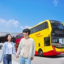 석오 | 🚌 [홍콩] 시티버스+ 여행자 2일 패스 후기 – 48시간 무제한 버스로 만나는 홍콩 시내·신계·공항 완전...