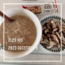 토닥토닥 12월