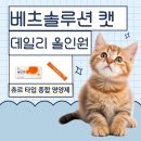 캣솔루션 | 금동이 종합 영양제 시작!｜베츠솔루션 캣 데일리 올인원 후기