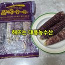 강원도 찰옥수수 택배 솔직 후기 해뜨는 대풍농수산