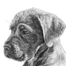 수정로456번길 이미지