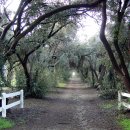 엘에이농장 이미지