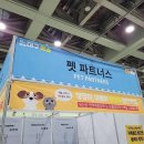 펫니즈 이미지