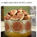 8주차 포토덤프