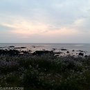 굿모닝제주 이미지