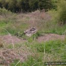 창원 봉림사지 이미지