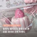 젤리애드 | 말랑이·젤리슈즈 열풍으로 본 요즘 2030 소비 트렌드