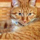 방성5리마을회관 이미지