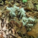 경기도산림환경연구소