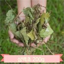 천연비누와 화장품 쇼핑하우