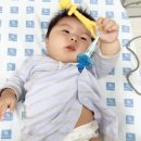 왕림소독 | 준현아 아프지말자...ㅠㅠ 충북대 불만 후기